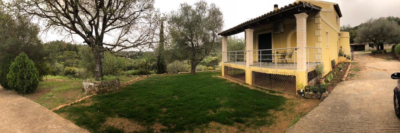 Modern Eco Friendly Villa Close To Town Pelekas Dış mekan fotoğraf